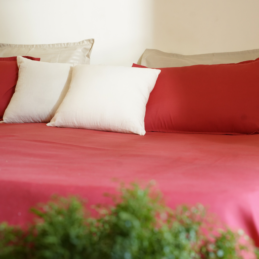 Solid Cherry Queen Size Cotton Bedsheet Set with Pillow Covers
